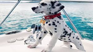 Bedroom Led Lighting Ideas Cute Bedroom Part 2 Youtube