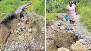 Bitterness in Lime Tree District