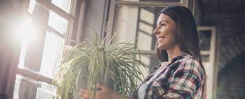 New Jersey First Time Home Buyer Programs Of 2021 Nerdwallet
