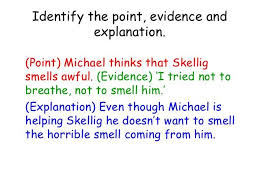 Pee Paragraphs Reading Anchor Charts Nonfiction Texts Writing Strategies