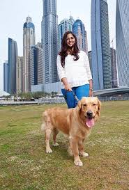 Her owners are emigrating and are not in a position to take her. Our Guide To Dog Ownership In The Uae Friday Magazine