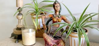 Check spelling or type a new query. Painting Plastic Pots How To Jazz Up Your Planters One Brick At A Time