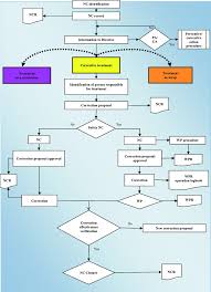 Non Conformity Management Process Flow Chart The Following