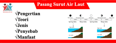 Menemukan pasang rendah (air surut) juga penting untuk keperluan menyisir pantai dan mencari kolam pasang surut. Pasang Surut Air Laut Pengertian Teori Jenis Penyebab Manfaat