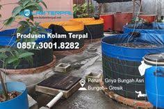 Cari kolam indoor di indonesia, distributor kolam indoor, supplier, dealer, agen, importir, kami mempunyai database terlengkap dan harga termurah untuk kolam indoor indonesia. 36 Jual Kolam Terpal Ideas Fish Farming Tilapia Fish Farming Catfish Farming