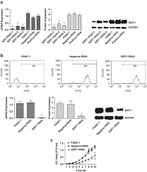 Can knockdown three provide you with fully superbly designed graphics, and you'll certainly be impressed with it the primary time you attempt it? Sirt1 Rnai Knockdown Induces Apoptosis And Senescence Inhibits Invasion And Enhances Chemosensitivity In Pancreatic Cancer Cells Gene Therapy