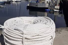 We did not find results for: Intermas Biorope As An Alternative To Synthetic Mooring Lines