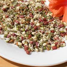 Check spelling or type a new query. Sprouting For Your Flock At Home
