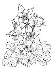 11 Interessant Coloriage De Fleurs Photos Desenhos De Flores Desenhos Desenhos Para Pintura