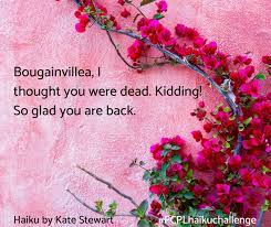 Check spelling or type a new query. Pcpl Haiku Challenge Your Poems About Springtime Pima County Public Library