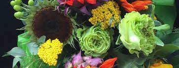 We did not find results for: The 15 Best Places For Flowers In Cleveland