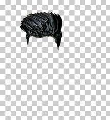 Picsart Photo Studio Hairstyle Editing Png Clipart Black Hair Brown Hair Downloa Photo Studio Photoshop Backgrounds Free Background Wallpaper For Photoshop