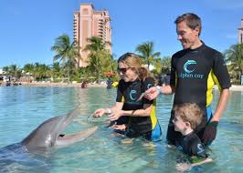 Swim With Dolphins Bahamas: Visit Dolphin Cay Atlantis Resort