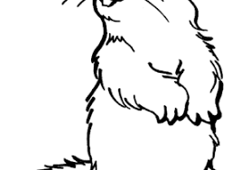 While your special bond lets you understand each other to a certa. Prairie Dog Coloring Pages Coloring4free Com