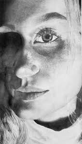 Dryden students win art awards