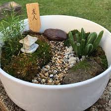 New to the dish garden collection is the succulent dish gardens! Large Dish Gardens Mini Garden Dish Garden Plants