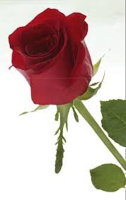 Mindless of its just honours; Read The Key To Shakespeare S Heart Online