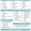 Dinner recipe ideas indian vegetarian language:en. Https Encrypted Tbn0 Gstatic Com Images Q Tbn And9gcsdvpwc9lthwkcnpzk Pr2zashb30ibq Erbmiyvagsv0dm 5r5 Usqp Cau