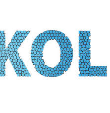 The Voice of Temple Anshei Shalom