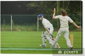 The home of cricket on bbc sport online. Leinwandbild Cricket Spieler Pixers Wir Leben Um Zu Verandern