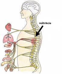 V následujících řádcích si řekneme, co na akné skutečně funguje. Mili Priatelia Fyzio V Sabinove Mgr Matus Macko Facebook
