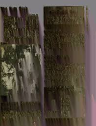 Selection Of The New College President