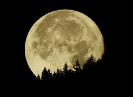 Unbridled sinners ) is the third folk. Modell Supermond Der Grosste Vollmond Spektrum Der Wissenschaft