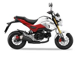 We did not find results for: 2020 Honda Grom For Sale At Teammoto Mcas New Bikes Gold Coast Honda