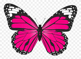 Purple butterfly white butterfly butterfly purple. Pink Butterfly Png Transparent Clip Art Gallery Transparent Butterfly Clipart Stunning Free Transparent Png Clipart Images Free Download