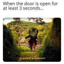 When I Forget To Play Goalkeeper At The Door I M Going On An Adventure Know Your Meme