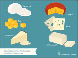 Lactose Intolerance Instagraphics Lactose Intolerant Lactose Lactose Free Recipes
