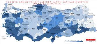 2411 orman yangınından 1280'inin çıkış nedeni tespit edilemedi. Turkiye Orman Yanginlarinda Yanan Alanlar Haritasi Hektar 2018 Yili Drdatastats
