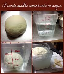 Tuttavia, ci sono alcune condizioni ideali per , in modo da mantenerlo il più sano possibile. Lievito Madre Uso Gestione E Conservazione Fables De Sucre