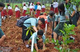 Perjanjian internasional yang melindungi flora dan fauna telah berkembang sejak lama. Upaya Melestarikan Flora Dan Fauna Masrafli Com