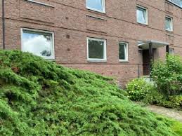 Durch den mix von villen, altbauten und neubauten ist die auswahl zwischen 2,5 zimmer wohnungen in berlin steglitz. 3 Zimmer Wohnung Mieten Berlin Steglitz Zehlendorf 3 Zimmer Wohnungen Mieten
