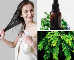 Step by step recipe | play following video. Diy Curry Leaf Hair Oil Recipe Wholesome Benefits Of Using This Ingredient Regularly On Your Mane