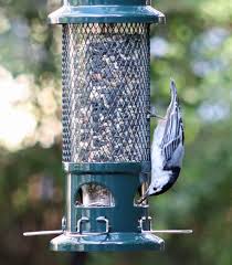 Who doesn't love seeing birds in the yard? Proven Bird Feeding Tips To Keep Birdseed Fresh Birds And Blooms
