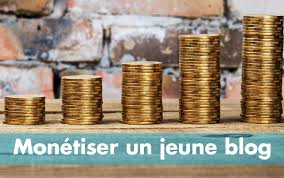 En fait pour gagner de l'argent à partir de votre blog, vous devez absolument développer beaucoup plus de compétences. Comment Je Vais Tenter De Gagner De L Argent Avec Mon Jeune Blog