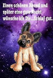 Weitere ideen zu hunde, lustige tiere, lustige bilder. Pin Von Biggi Seele Auf Abendgrusse Gute Nacht Gute Nacht Grusse Guten Abend Grusse