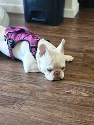 Thank you everyone for the birthday wishes. 44 came quick but I'm greatful  for where God has brought me. I'm Greatful for the people I have around me,  and I'm greatful to