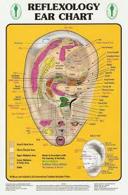 reflexology foot chart reflexology interactive foot chart