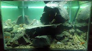 3d akvaryum fon tabalkon aqua akvaryum fonu gazbeton el isciligi ile yapilan aquarium background akvaryum