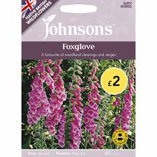 Johnsons Seeds Wild Flower Foxglove Wilko