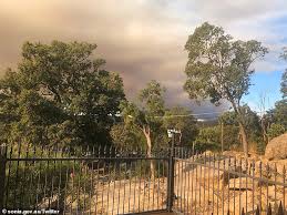 Wooroloo, published in 1999, was her first poetry collection, with a stunning cover featuring one of her own written soon after bushfires destroyed her studio in wooroloo, australia, not surprisingly, fire. Ybrb5gkoy6ojm