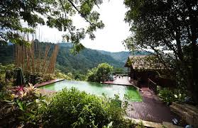 The Dusun Updated 2020 Prices Hotel Reviews Seremban Malaysia Tripadvisor