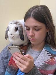 Whenever I can't find Rosie I remember to look in the bath tub.