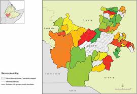 Zones of amhara, west harerghe, east shoa and arsi zones of oromiya, southern, eastern and central zones of tigray, silti and guraghe zones of snnpr. Prevalence Of And Risk Factors For Trachoma In Southern Nations Nationalities And Peoples Region Ethiopia Results Of 40 Population Based Prevalence Surveys Carried Out With The Global Trachoma Mapping Project Abstract
