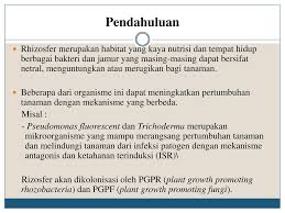 01 bakteri menguntungkan & bakteri merugikan bakteri menguntungkan 1. Peran Mikroorganisme Dalam Bidang Pertanian Ppt Download