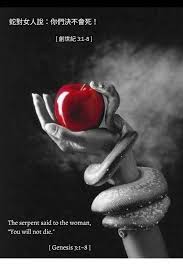 今日福音 蛇對女人說 你們決不會死 創世紀3 1 8 在上主天主所造的一切野獸中 蛇是最狡猾的 蛇對女人說 天主真說了 你們不可吃樂園中任何樹 上的果子嗎 女人對蛇說 樂園中樹上的果子 我 color splash photography splash photography color splash