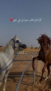 Pin By الــوليد On Story Cute Love Images Love Smile Quotes Love Quotes Wallpaper